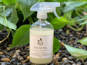 Neem organic pest control