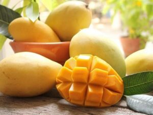All season Thailand mango