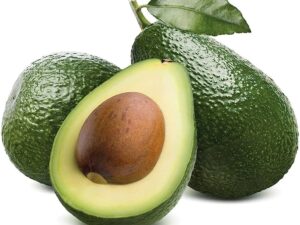 Butter fruit / avacado plant