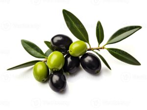 olive fruit