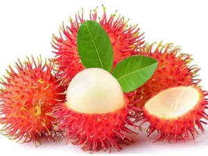 Rambutan fruit plant